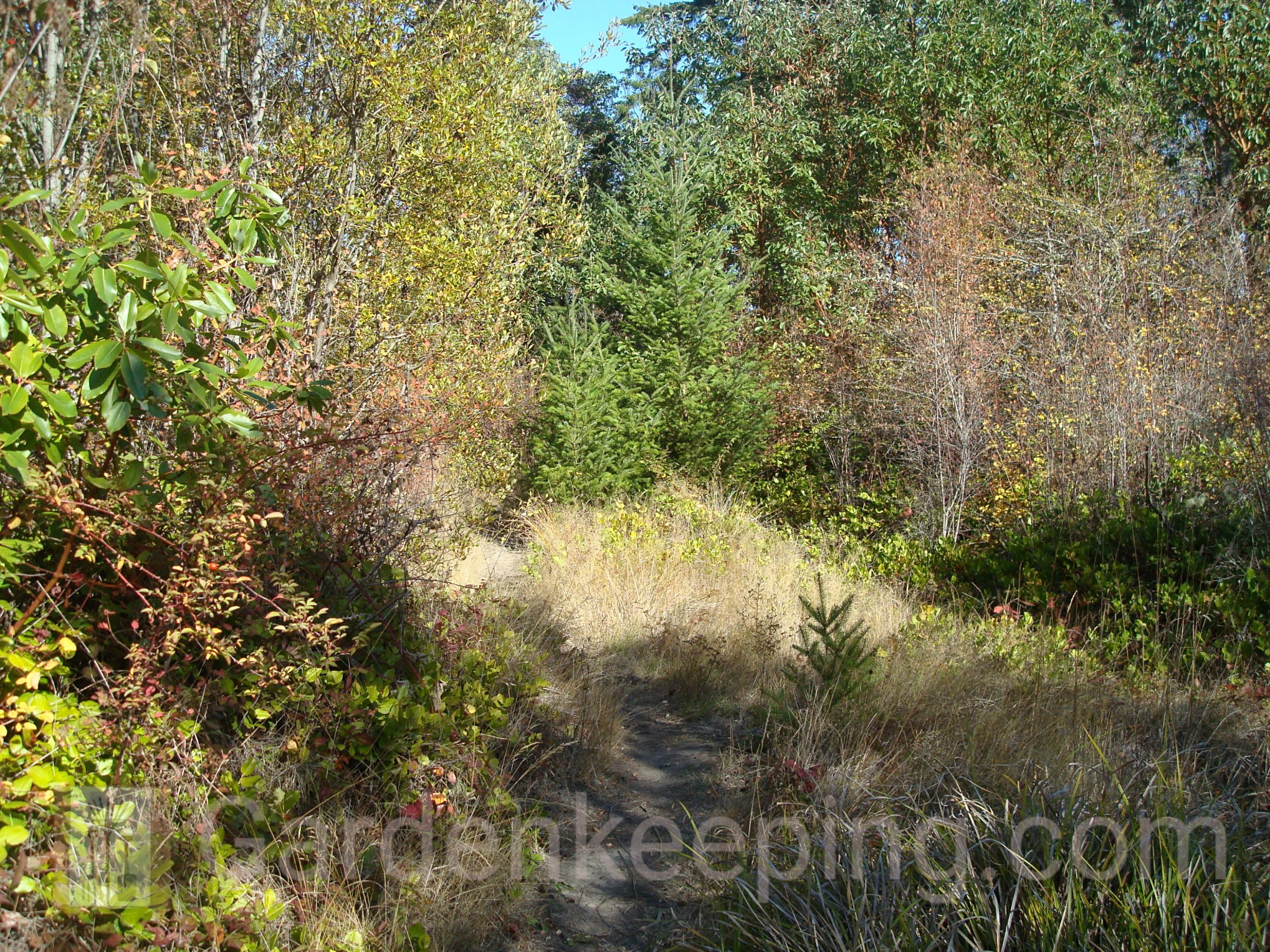 fall2009 0041325307905..jpg